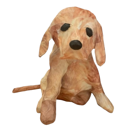 PeoplesVoice Mascot